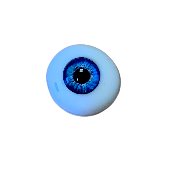 Oeil en silicone reproduction